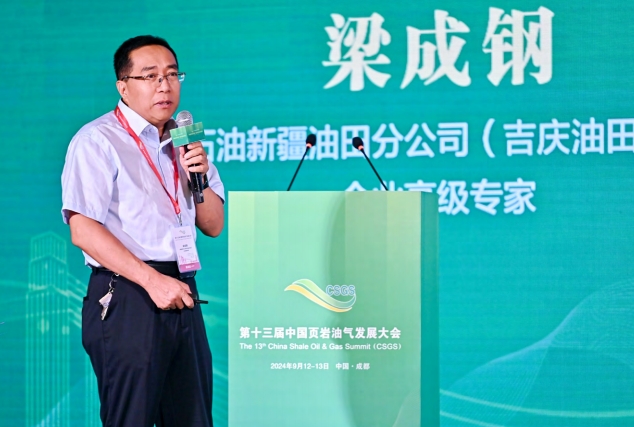 新疆吉木薩爾陸相頁(yè)巖油開(kāi)發(fā) 關(guān)鍵技術(shù)
